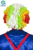PARRUCCA CLOWN ADULTO